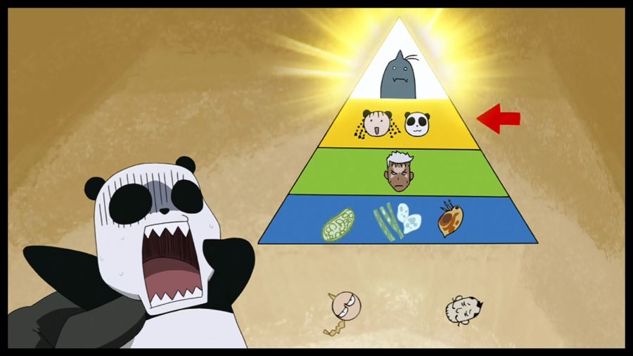 pyramide-alimentaire-alphonce.jpg pyramide-alimentaire-alphonce.jpg
